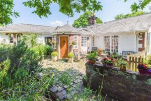 Photo 3- click for photo gallery